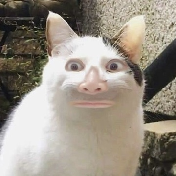mksaijo